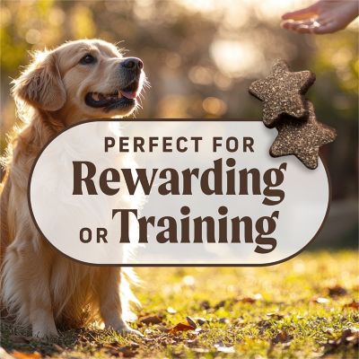 Image showing  Power Bites Grain Free Salmon Dog Treats