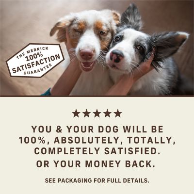 Image showing 9 th Merrick Power Bites Grain Free Salmon Dog Treats