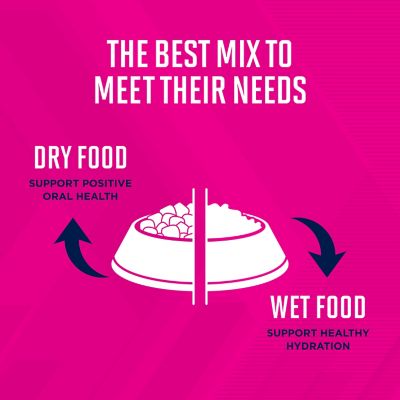 Image showing 8 th Eukanuba Adult Medium Breed Small Bites Chicken Dry Dog Food