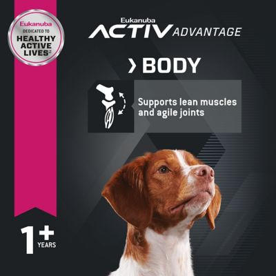 Image showing  Adult Medium Breed Chicken Dry Dog Food