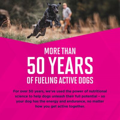 Image showing 9 th Eukanuba Adult Small Breed Chicken Dry Dog Food