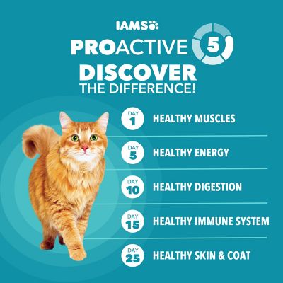 Image showing  ProActive Health Adult Indoor Weight and Hairball Care Chicken and Turkey Formula Dry Cat Food
