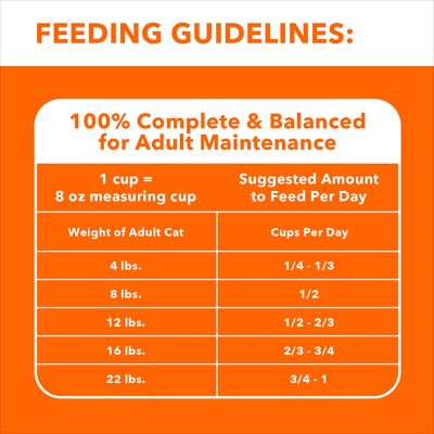 Image showing 8 th Iams ProActive Health Healthy Senior Dry Cat Food with Chicken Cat Kibble