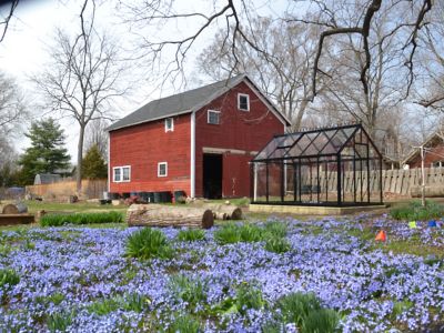 Image showing 6 th Exaco 10-3/16 x 7-7/8ft. Janssens Junior Victorian 23 Greenhouse Kit