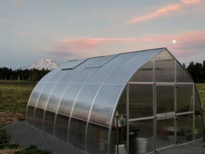 Exaco 19-1/8 ft. x 14-3/16 ft. Riga XL 6 Greenhouse