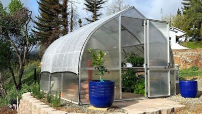 Image showing  19-1/8 ft. x 14-3/16 ft. RIGA XL 6 Greenhouse