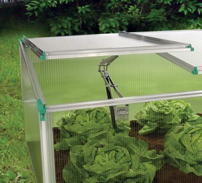 Image showing 6 th Exaco 4-15/16 x 2-5/8ft. Juwel Biostar Cold Frame Greenhouse