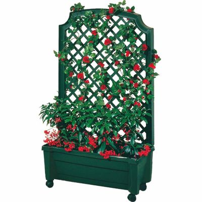 Image showing  2.5 gal. Polypropylene Calypso Freestanding Planter, Green