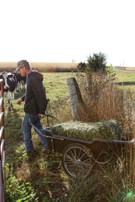 Image showing  10 cu. ft. 400 lb. Capacity Utility Cart