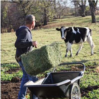 Image showing  10 cu. ft. 400 lb. Capacity Utility Cart