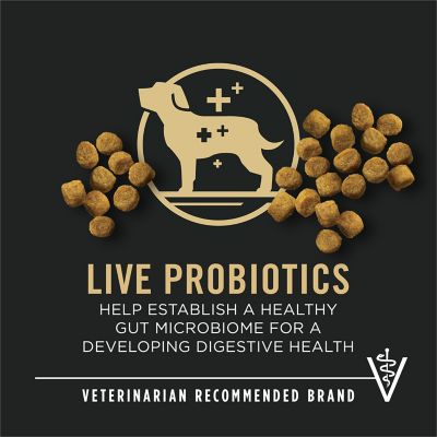 Image showing  Chicken & Rice Formula Toy Breed Dry Puppy Food