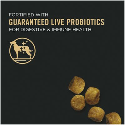 Image showing  Chicken & Rice Formula Toy Breed Dry Puppy Food