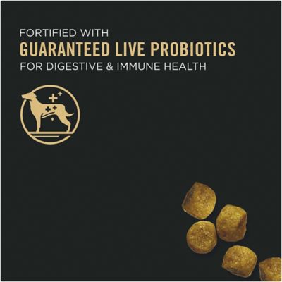 Image showing  Chicken & Rice Formula Toy Breed Dry Puppy Food