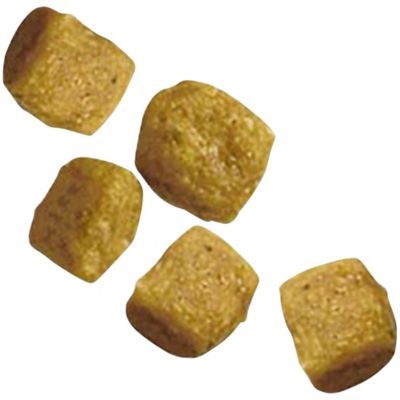 Image showing 9 th Purina Pro Plan Chicken & Rice Formula Toy Breed Dry Puppy Food