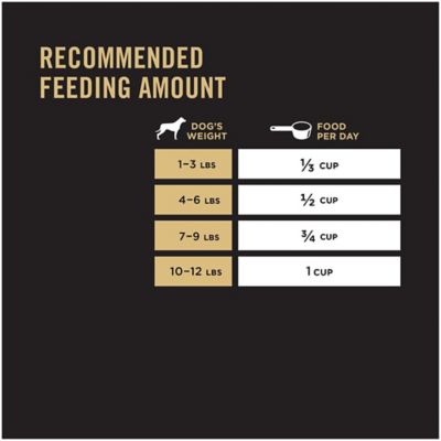 Image showing 11 th Purina Pro Plan Chicken & Rice Formula Toy Breed Dry Puppy Food