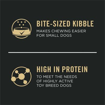 Image showing 12 th Purina Pro Plan Chicken & Rice Formula Toy Breed Dry Puppy Food