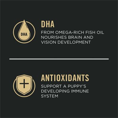 Image showing 13 th Purina Pro Plan Chicken & Rice Formula Toy Breed Dry Puppy Food