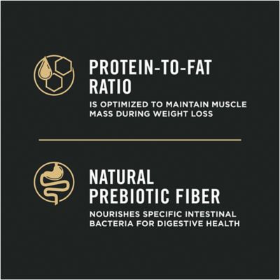 Image showing  Shredded Blend Chicken & Rice Formula With Probiotics Weight Management Dry Dog Food