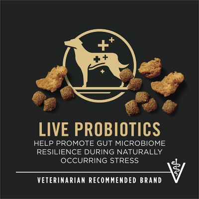 Image showing 7 th Purina Pro Plan Shredded Blend Chicken & Rice Formula With Probiotics Weight Management Dry Dog Food