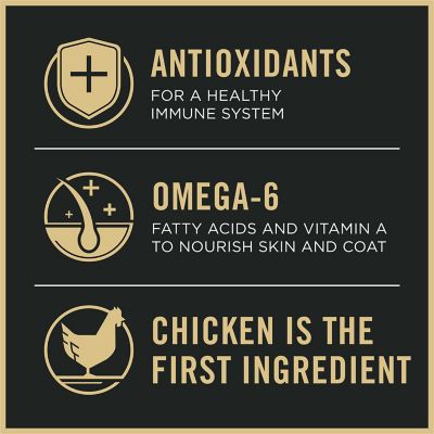 Image showing 8 th Purina Pro Plan Shredded Blend Chicken & Rice Formula With Probiotics Weight Management Dry Dog Food