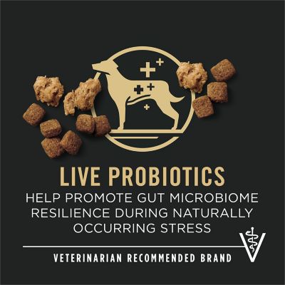 Image showing 5 th Purina Pro Plan Shredded Blend Chicken and Rice Formula With Probiotics Senior Dry Dog Food