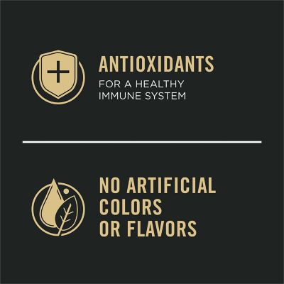 Image showing 7 th Purina Pro Plan Shredded Blend Chicken and Rice Formula With Probiotics Senior Dry Dog Food