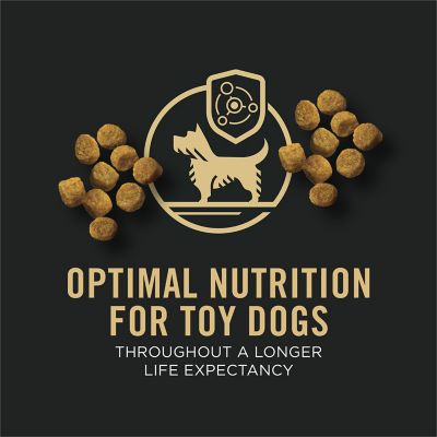 Image showing  Chicken & Rice Formula Toy Breed Dry Dog Food