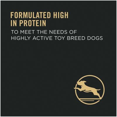 Image showing  Chicken & Rice Formula Toy Breed Dry Dog Food