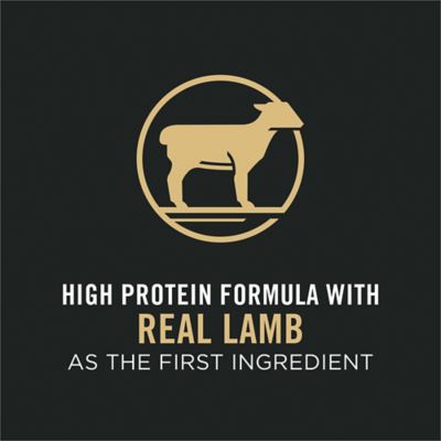 Image showing  Small Bites Lamb & Rice Formula High Protein, High Energy Dry Dog Food