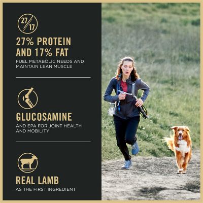 Image showing  Small Bites Lamb & Rice Formula High Protein, High Energy Dry Dog Food