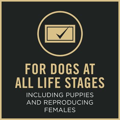 Image showing 8 th Purina Pro Plan Small Bites Lamb & Rice Formula High Protein, High Energy Dry Dog Food