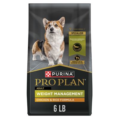 Image showing  Focus Adult Weight Management Formula Dry Dog Food