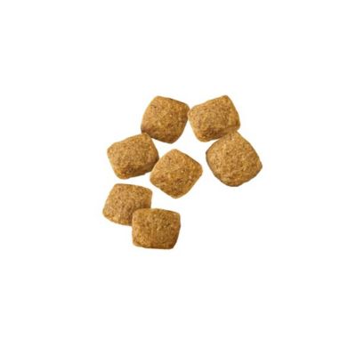 Image showing  Large Breed Adult Weight Management Formula Chicken Recipe Dry Dog Food