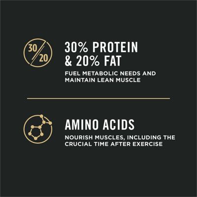 Image showing  Sport All Life Stages 30/20 Performance Salmon and Rice Formula Dry Dog Food