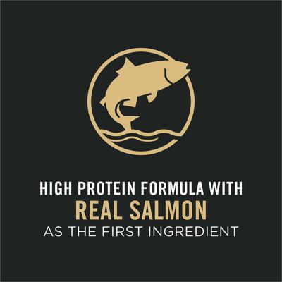 Image showing  Sport All Life Stages 30/20 Performance Salmon and Rice Formula Dry Dog Food