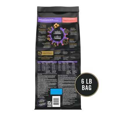 Image showing  Sport All Life Stages 30/20 Performance Salmon and Rice Formula Dry Dog Food