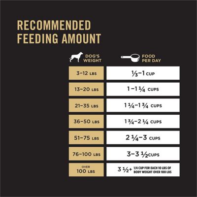 Image showing 6 th Purina Pro Plan Sport All Life Stages 30/20 Performance Salmon and Rice Formula Dry Dog Food
