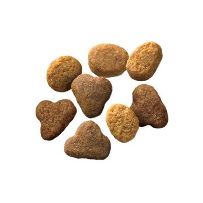 Image showing  Complete Essentials Adult Chicken and Rice Formula Dry Cat Food