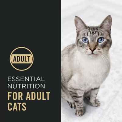 Image showing  Complete Essentials Adult Chicken and Rice Formula Dry Cat Food