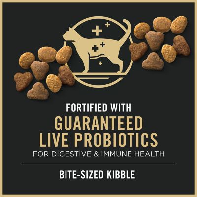 Image showing  Savor Adult Chicken and Rice Formula Dry Cat Food