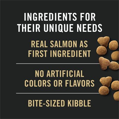 Image showing 6 th Purina Pro Plan Focus Indoor Care Salmon & Rice Formula Adult Dry Cat Food