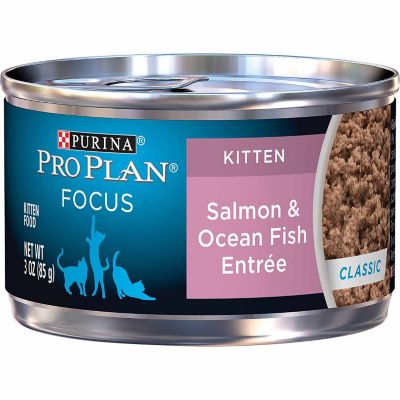 Purina Pro Plan Focus Kitten Minced Salmon and Ocean Fish Wet Cat Food, 3 oz. Can