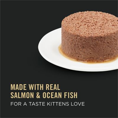 Image showing  Focus Kitten Minced Salmon and Ocean Fish Wet Cat Food, 3 oz. Can