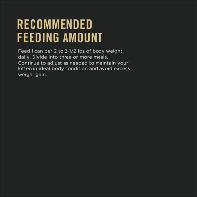 Image showing 5 th Purina Pro Plan Focus Kitten Minced Salmon and Ocean Fish Wet Cat Food, 3 oz. Can