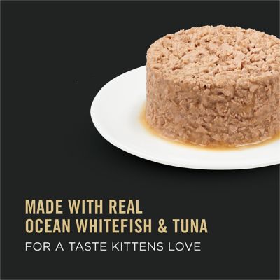 Image showing  Focus Kitten Flaked Ocean Whitefish and Tuna Wet Cat Food, 3 oz. Can