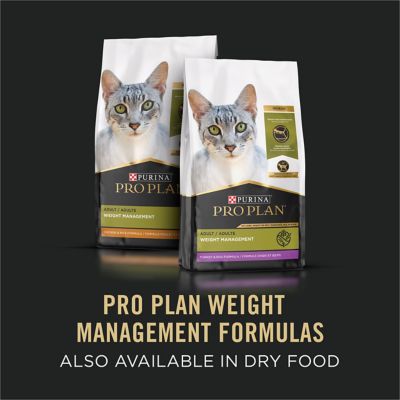 Image showing 7 th Purina Pro Plan Adult Weight Management Adult Weight Management Turkey and Rice Chunks Wet Cat Food, 3 oz. Can