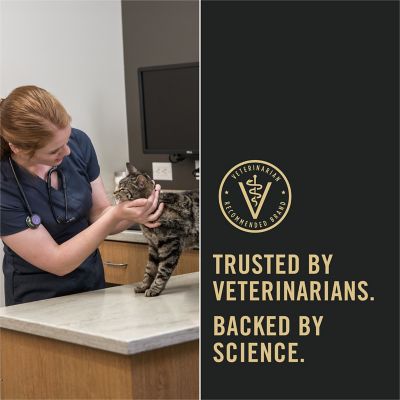 Image showing 7 th Purina Pro Plan Savor Adult Ocean Fish Chunks in Sauce Wet Cat Food, 3 oz. Can