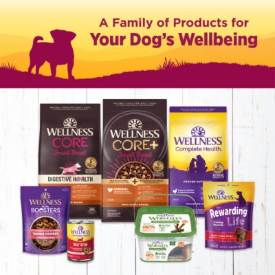 Image showing 5 th Wellness Complete Health Petite Entrees Mini Filets Adult Roasted Chicken, Carrots and Red Peppers Wet Dog Food, 3 oz. Can