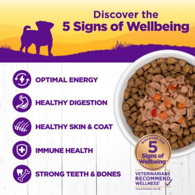 Image showing  Petite Entrees Mini Filets Small Breed Adult Beef, Carrots and Red Peppers Wet Dog Food, 3 oz. Can