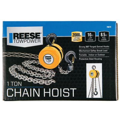 Image showing  1 Ton Capacity 10 ft. Lift Chain Hoist, 8.5 ft. Pull Chain